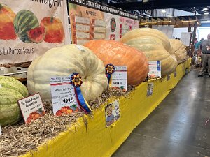 NC State Fair - 2025